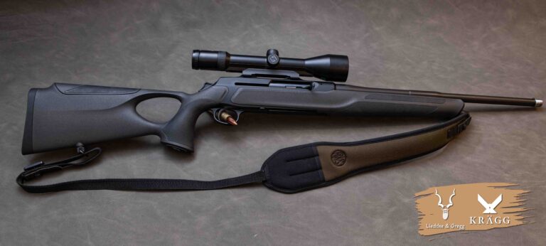 Sauer 303 30-06