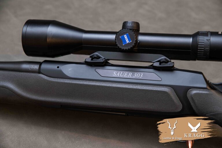 Sauer 303 30-06